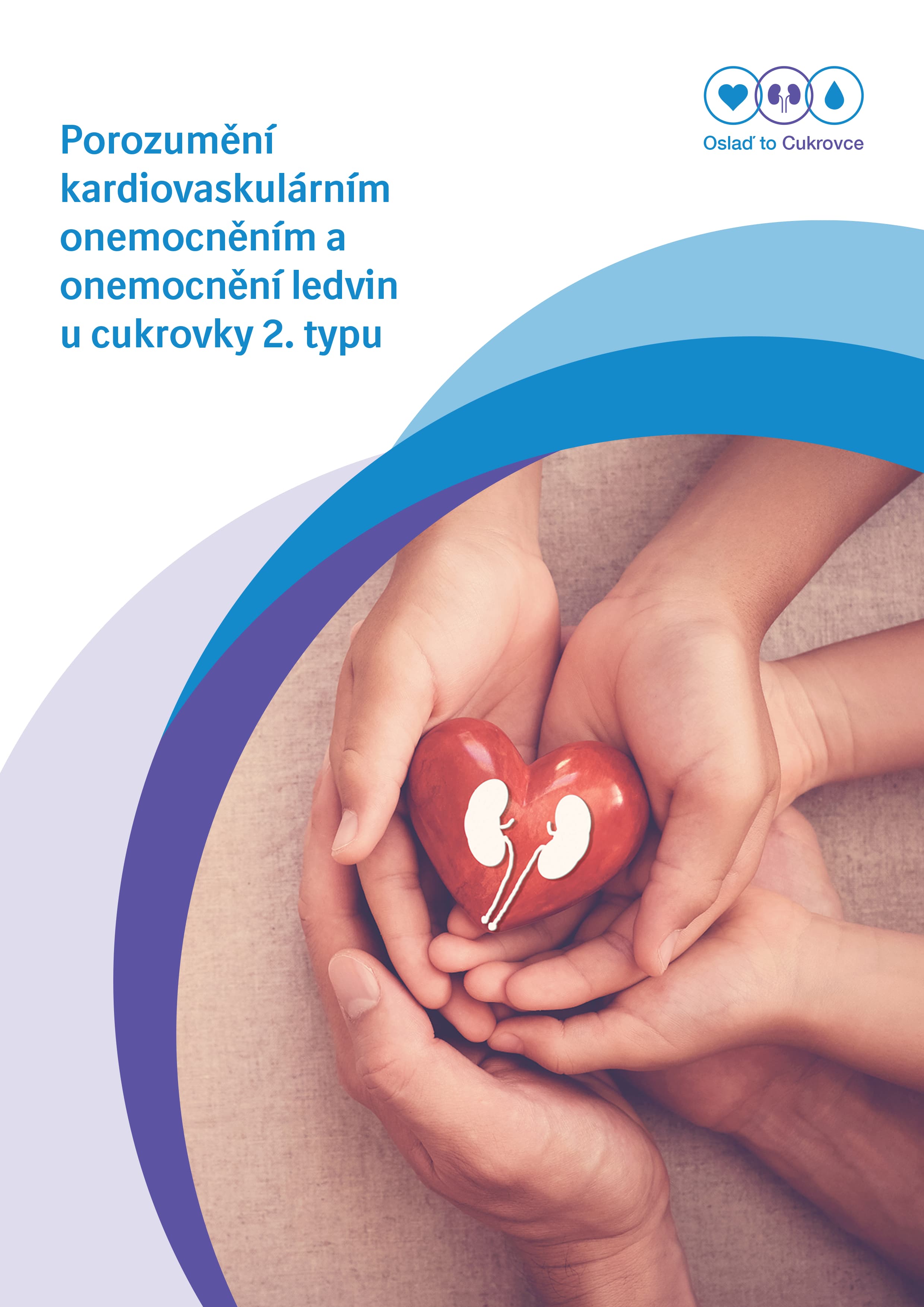 Porozumění kardiovaskulárním onemocněním a onemocnění ledvin u diabetu 2. typu