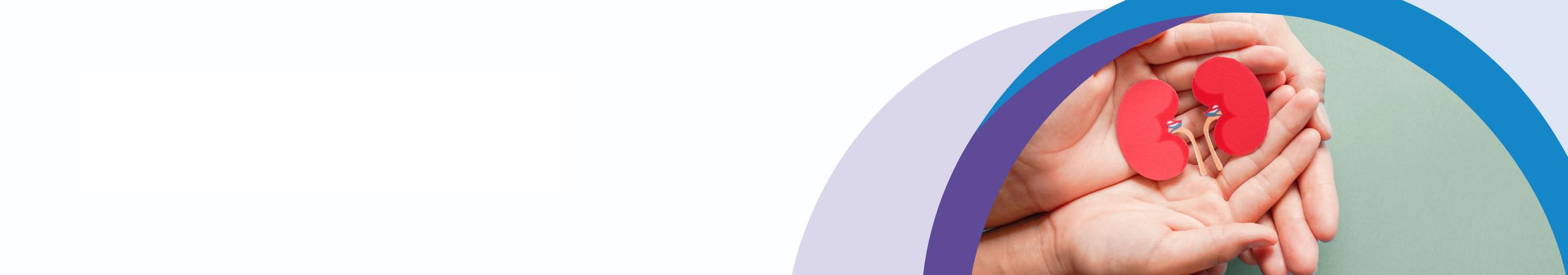 Rozevřené dlaně na kterých je položené miniaturizované zpodobnění červených ledvin